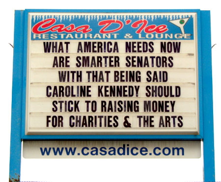 What America Needs Now Are Smarter Senators   With That Being Said Caroline Kennedy Should Stick To Raising Money for Charities & The Arts
