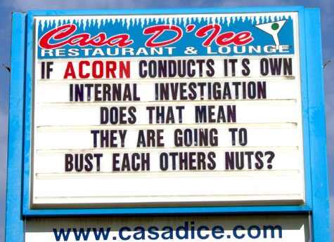 If ACORN conducts its own internal investigation, does that mean they are going to bust each other's nuts?